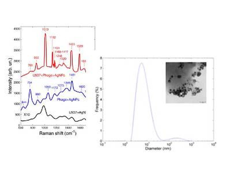 Biosensori SERS nanostrutturati